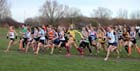 The start of the under-15 girls North Eastern Cross Country, Champs., Temple Park, South Shields. Photo: David T. Hewitson/Sports for All Pics